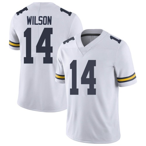 Roman Wilson Michigan Wolverines Men's NCAA #14 White Limited Brand Jordan College Stitched Football Jersey JUL7854MR
